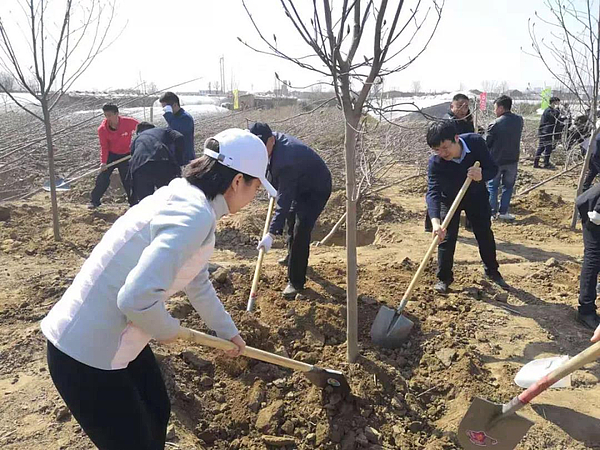 微信圖片_20190313151555.jpg